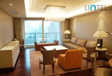 Standard 218 sqm 3-bdr Unit The Paragon(2)