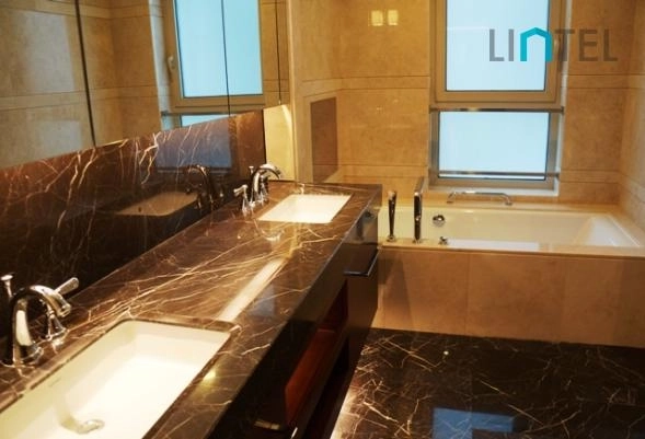 Standard 218 sqm 3-bdr Unit The Paragon(9)
