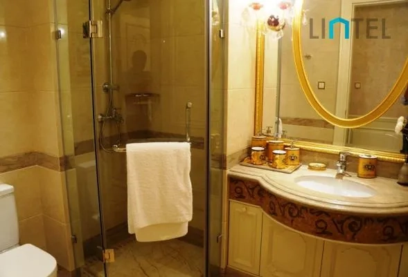 Standard 3+1 Unit Palacio de Madrid(14)