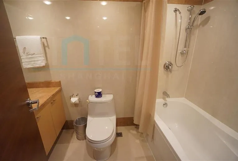 Standard 3-Bdr B Unit Shanghai Center(14)