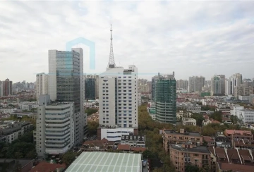 Standard 3-Bdr B Unit Shanghai Center(17)