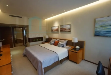 Standard 3-Bdr B Unit Shanghai Center(8)