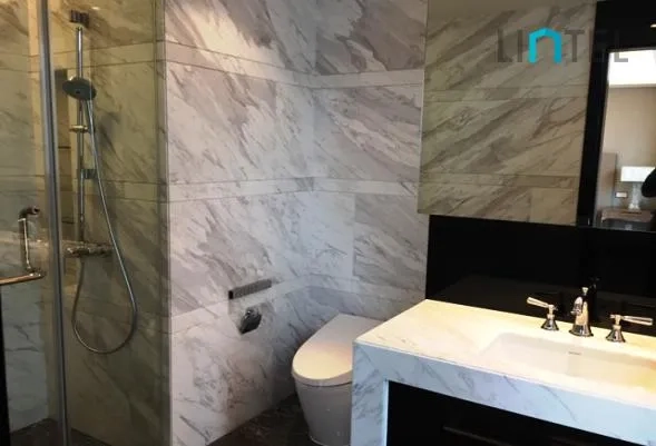 Standard 370 sqm  3+1-bdr Unit The Paragon(11)