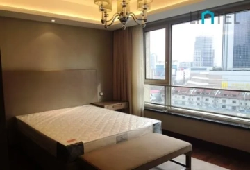 Standard 370 sqm  3+1-bdr Unit The Paragon(12)