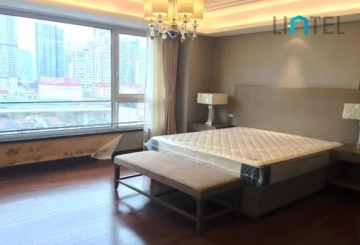 Standard 370 sqm  3+1-bdr Unit The Paragon(10)