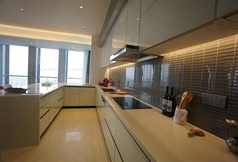 Standard 4-Bdr Unit Eacqua Residence New Bund(5)
