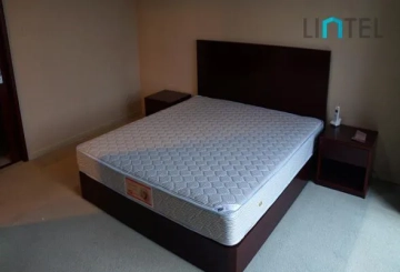Standard 4-bdr Unit Livable Apartment(4)