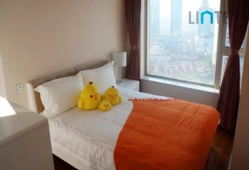 Standard A & D Unit City Apartment(10)
