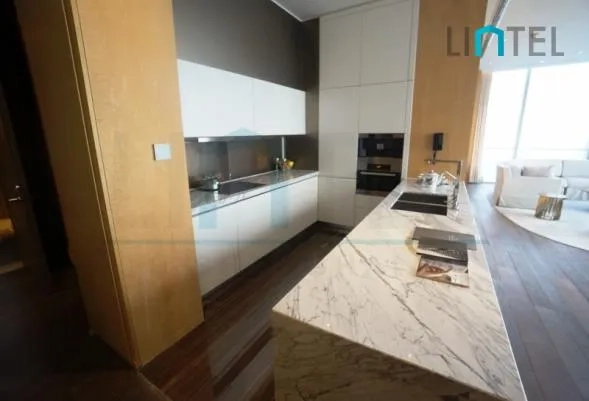 Standard A Type Unit Four Seasons Place(5)