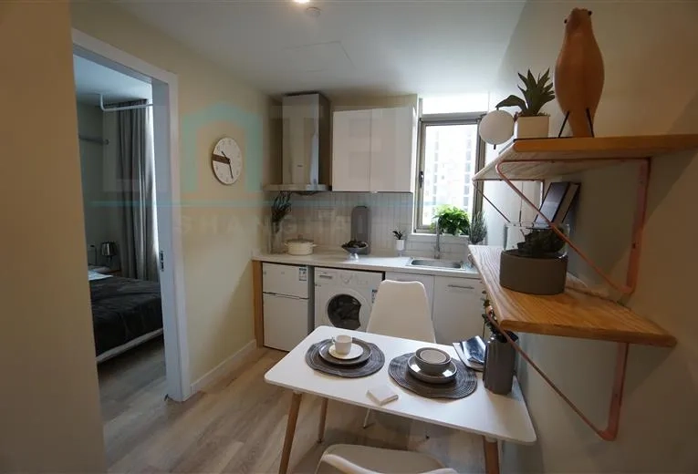 Standard Big Studio Mofang Apartment at Hongqiao(4)