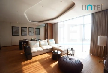 Standard Bigger 1-bdr Unit One Park Shanghai