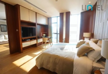 Standard Bigger 1-bdr Unit One Park Shanghai(5)