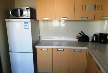 Standard Bigger 2-bdr Unit Regalia serviced Residence(5)