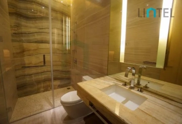 Standard C&D Type Unit Four Seasons Place(11)