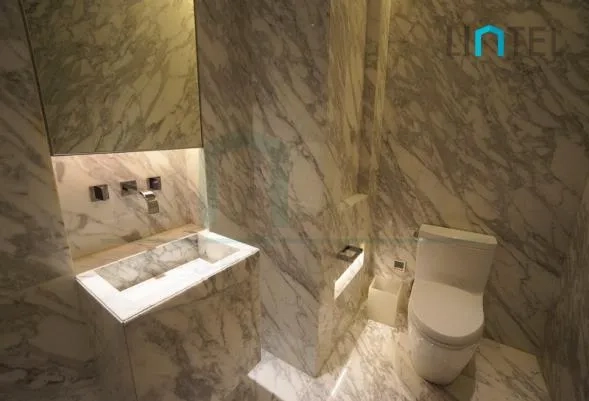Standard C&D Type Unit Four Seasons Place(4)
