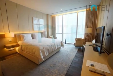 Standard C&D Type Unit Four Seasons Place(6)