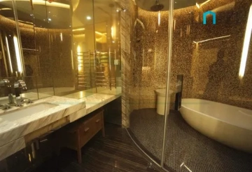 Standard C&D Type Unit Four Seasons Place(9)