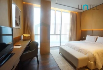 Standard C&D Type Unit Four Seasons Place(10)