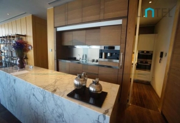 Standard F Type Unit Four Seasons Place(5)