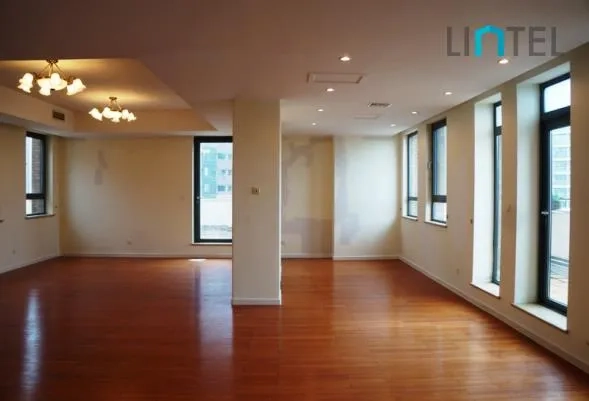Standard Penthouse Green Court I