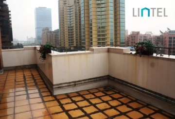 Standard Penthouse Green Court I(2)