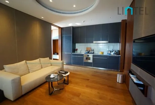Standard Small 1-bdr Unit One Park Shanghai(2)