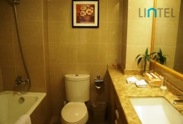 Standard Studio Citadines Shanghai Hongqiao(8)