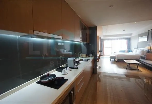 Standard Studio Primus Residence(3)