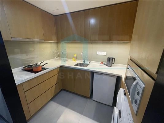 Standard Studio Riverdale Residence Xintiandi(8)