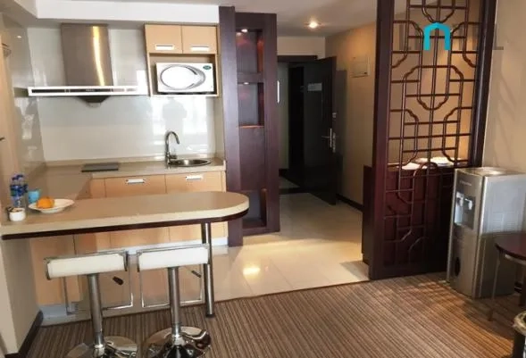 Standard Studio Suite Regalia serviced Residence(2)
