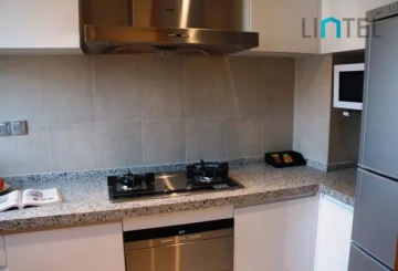 Standard big 2-bdr Unit Green Court Place(5)