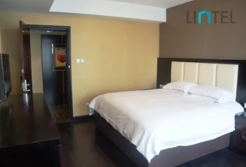 Standard big 2-bdr Unit The 1st ACME City Apartment(5)