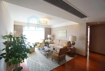 Standard y 2-bdr  Unit Lanson Place Jinqiao