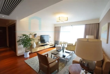 Standard y 2-bdr  Unit Lanson Place Jinqiao(2)