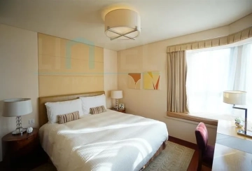 Standard y 2-bdr  Unit Lanson Place Jinqiao(7)