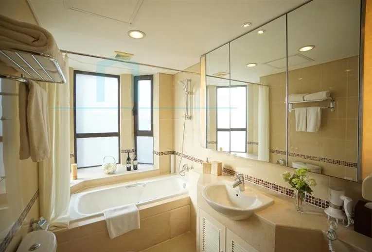 Standard y 2-bdr  Unit Lanson Place Jinqiao(8)