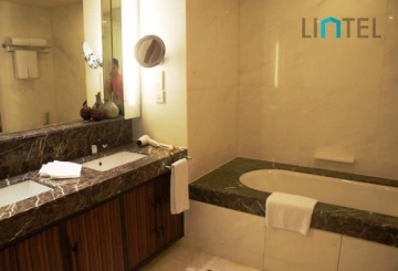penthouse Kerry Parkside(14)
