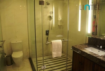 penthouse Kerry Parkside(15)