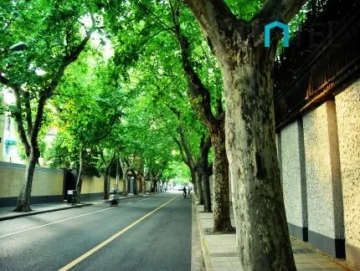 Former French Concession(3)