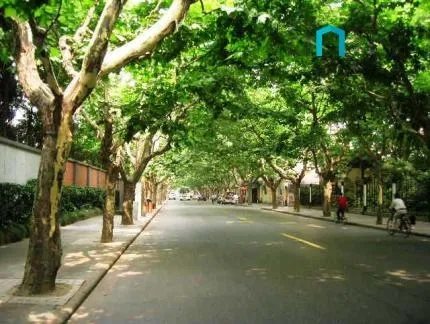Former French Concession(4)