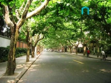 Former French Concession(4)