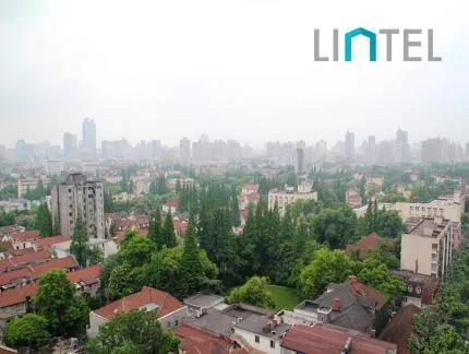 Former French Concession(6)