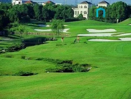 Pudong Int'l Schools Tang County(4)
