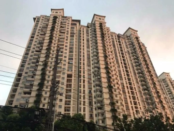 光明城市