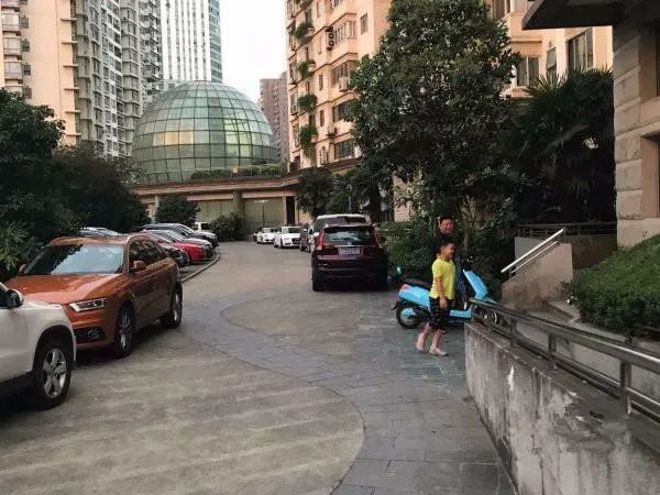 光明城市(3)