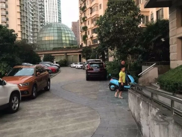 光明城市(3)