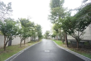 夏都融庭(4)
