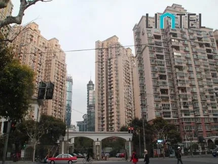 菊园(2)