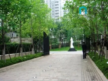 远中风华(6)