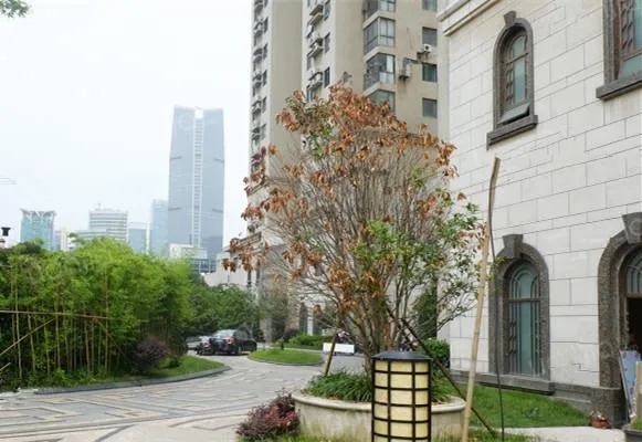 协和城南京西路公馆(3)
